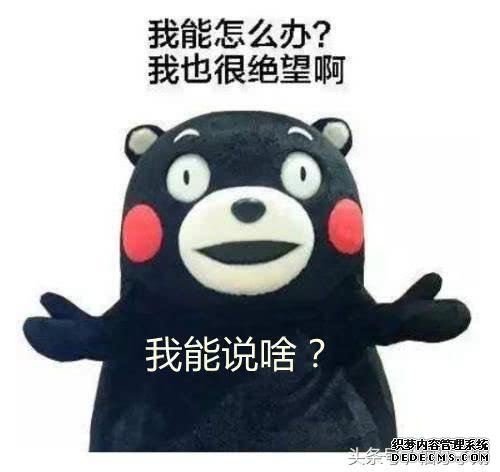 外国网友吐槽:中国穷人坐能的起先进高铁?老外的评论很扎心!