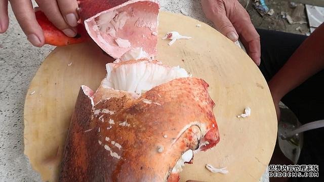 小伙花500元买的2个“稀罕海鲜”,全是壳以为没肉,煮好敲碎乐了