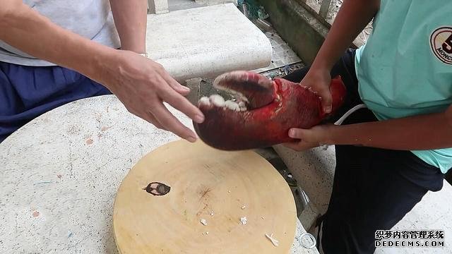 小伙花500元买的2个“稀罕海鲜”,全是壳以为没肉,煮好敲碎乐了