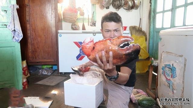 小伙花500元买的2个“稀罕海鲜”,全是壳以为没肉,煮好敲碎乐了