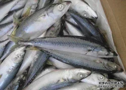 想吃鱼就买这三种,目前没办法人工养殖
