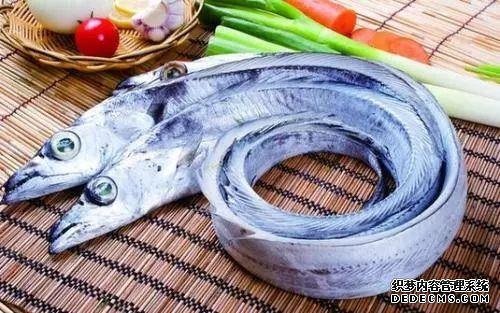 想吃鱼就买这三种,目前没办法人工养殖