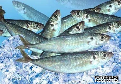 想吃鱼就买这三种,目前没办法人工养殖