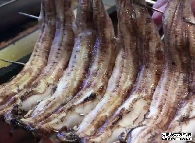 日本厨师处理鳗鱼,放到烤架上烤至金黄,肉质鲜嫩吃起来很过瘾