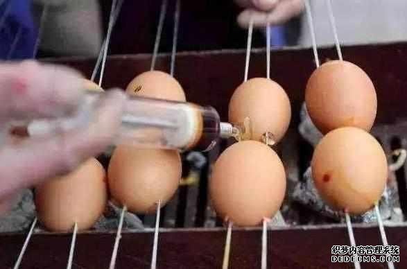 下岗大叔卖“天价”鸡蛋,十元1串,食客:吃完一口还想第二口