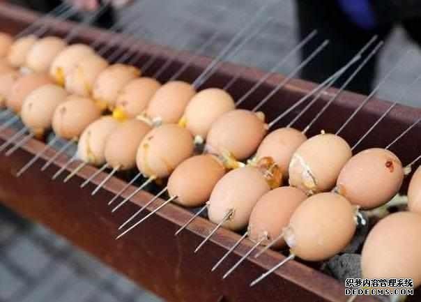 下岗大叔卖“天价”鸡蛋,十元1串,食客:吃完一口还想第二口