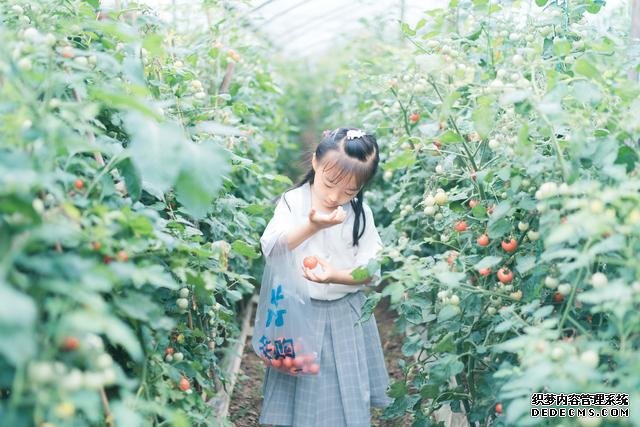 “农家乐”在旅游市场的热度不断衰减,看过往游客怎么说?
