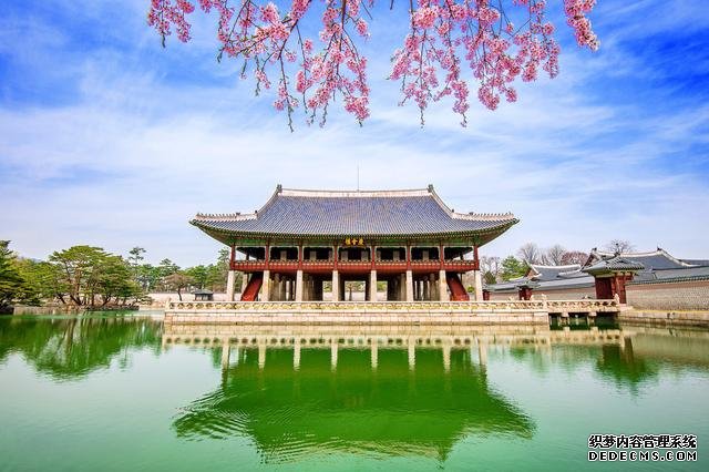 闻香识世界,春季赏花指南#唤醒好春光#