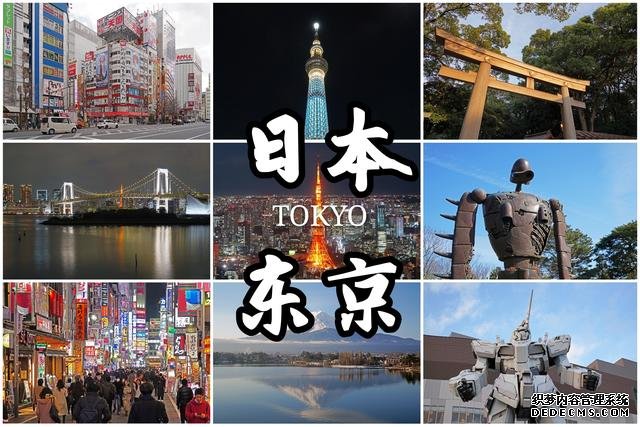 魅力东京!深度游!一周看遍东京的千姿百态