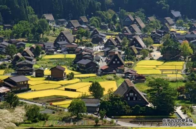 看了真实的日本农村,给我国乡村旅游旅游带来哪些启发?