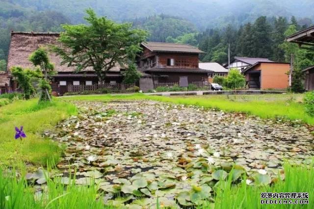 看了真实的日本农村,给我国乡村旅游旅游带来哪些启发?