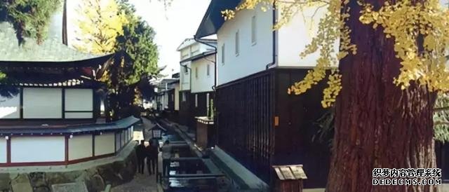 看了真实的日本农村,给我国乡村旅游旅游带来哪些启发?