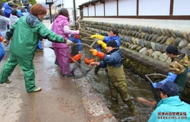 看了真实的日本农村,给我国乡村旅游旅游带来哪些启发?
