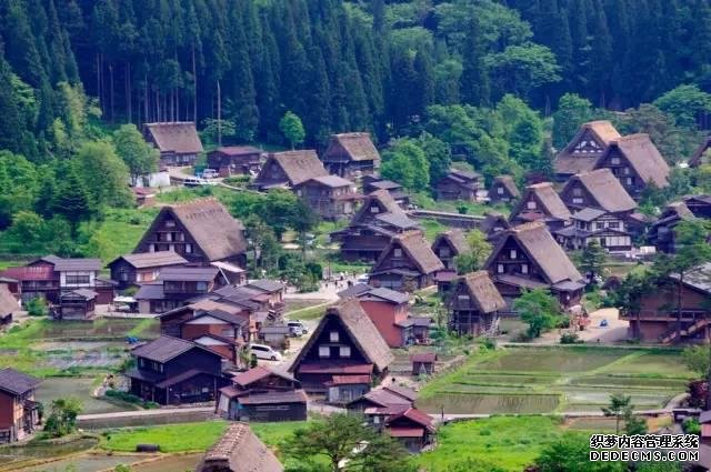看了真实的日本农村,给我国乡村旅游旅游带来哪些启发?