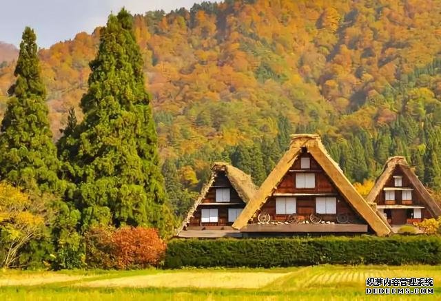 看了真实的日本农村,给我国乡村旅游旅游带来哪些启发?