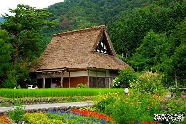 看了真实的日本农村,给我国乡村旅游旅游带来哪些启发?