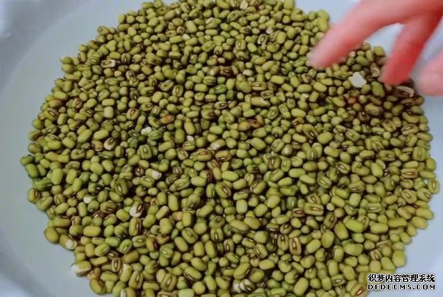 绿豆别熬粥啦,试试这样做,5元食材做一大盘,孩子吃了还想吃