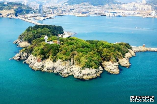 韩国旅游:去济州岛、梧桐岛赏花看海超很有意境,有时间就去吧
