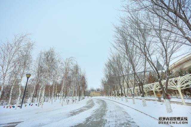 新疆小众旅行地,绝不会迷路的城市,幸福感极强,游客都想定居