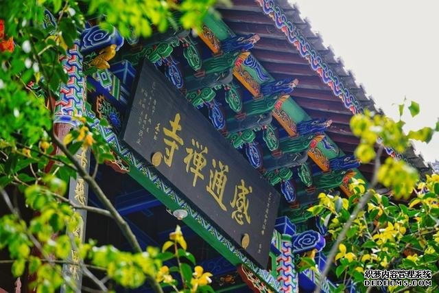 灵隐红尘,静默芳华,隐匿大理苍山深处的幽深古刹