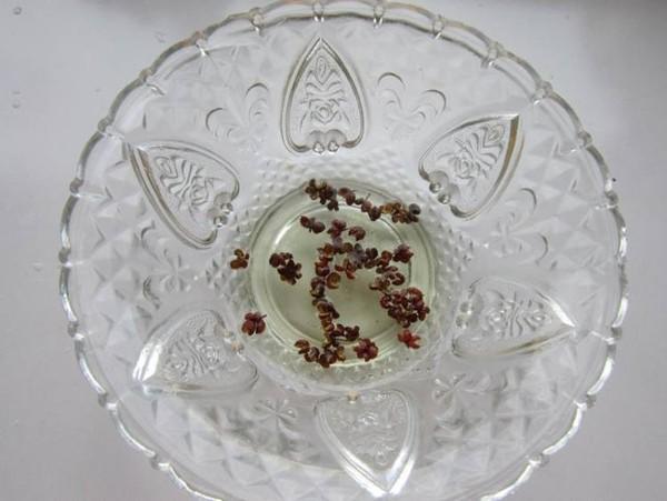 吃饺子常用它做馅,胡萝卜素是大白菜的74倍,堪称“护眼神器”