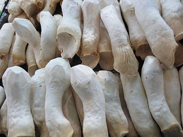 买杏鲍菇时,挑小的还是挑大的?卖菜的说漏嘴,以后可别再瞎买