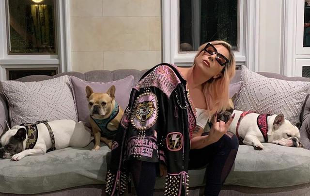 Ladygaga向特朗普“开火”!怒骂被夸正能量,雷人造型现也变大气