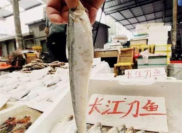 春风十里,不如春鲜刀鱼,沪上最好吃的光面——刀鱼汁面不容错过