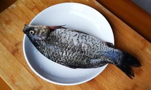 鲫鱼豆腐汤就该这样做!汤汁浓白似牛奶,鱼肉嫩滑很鲜香
