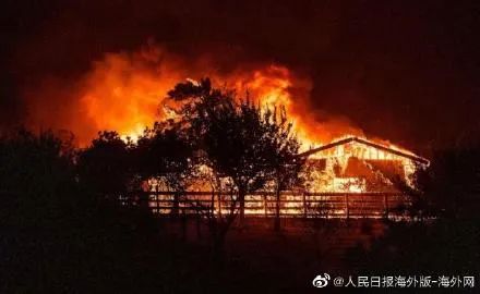 到处都是山火,美国加州告急!摄影师开车拍下恐怖一幕:宛如地狱之路