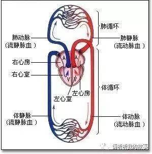 后疫情时代的自我重构:养心3.0-4D保健