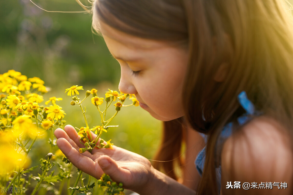 每天3次!帮助鼻子防止寒气侵犯体内。鼻炎或鼻子不灵敏的注意
