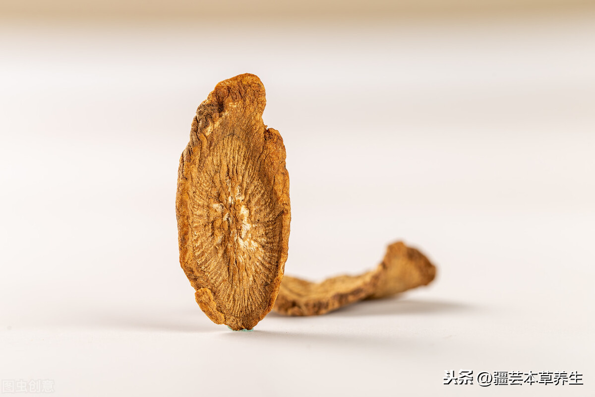 牛蒡根泡茶味道如何?制作一杯清热解毒牛蒡菊花茶