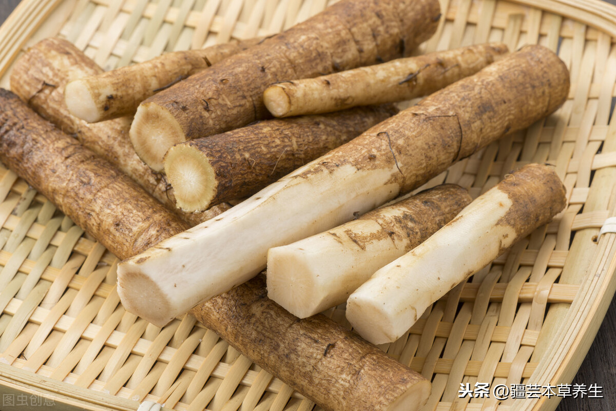 牛蒡根泡茶味道如何?制作一杯清热解毒牛蒡菊花茶