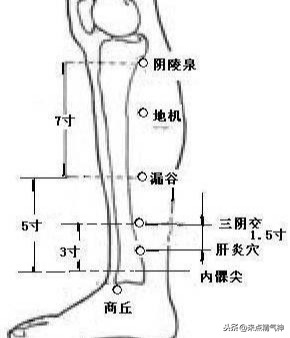 肝脏就是“油烟机”!油污太多导致脂肪肝,穴位“揉”回去