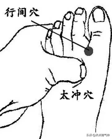 肝脏就是“油烟机”!油污太多导致脂肪肝,穴位“揉”回去