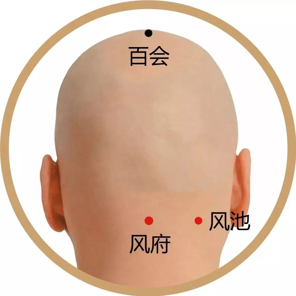 常按这两个人体的防风穴,对治疗头颈部疾病都很有疗效