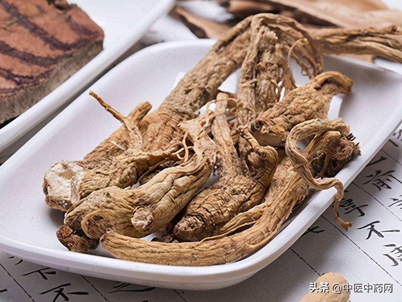 4种益肝中药材,正确服用有禁忌