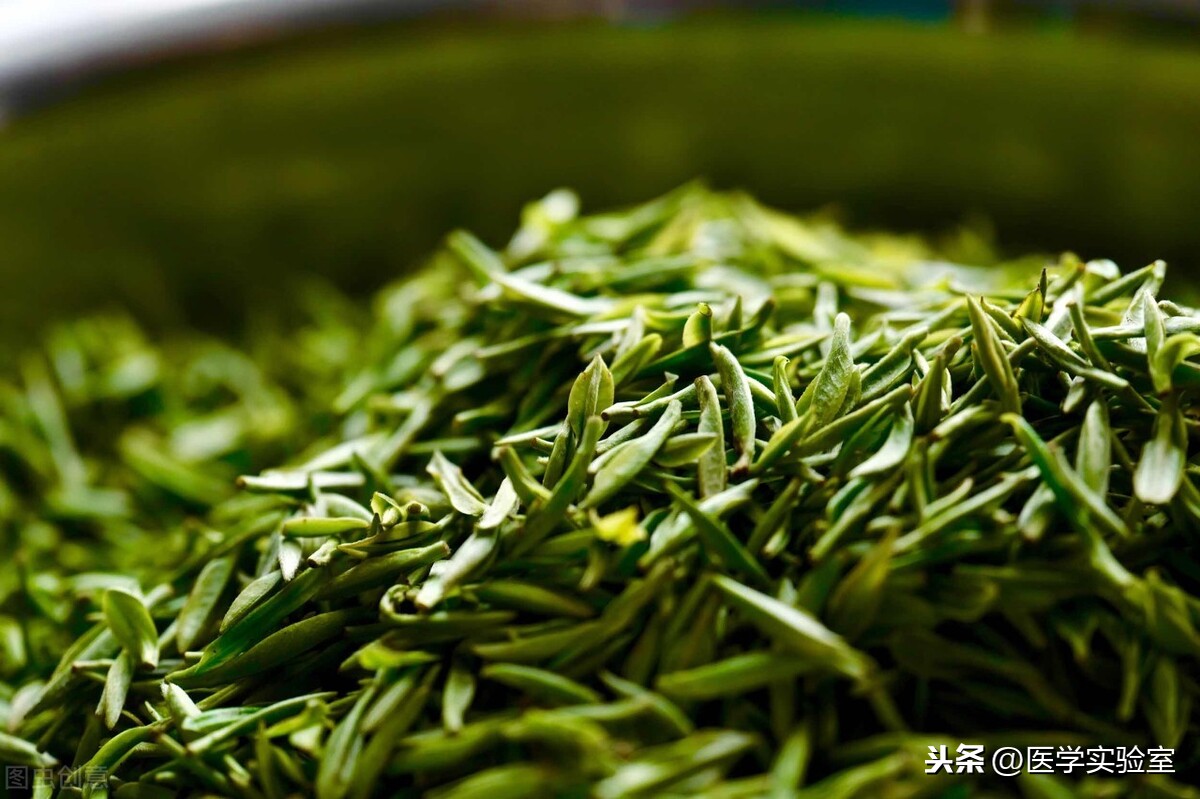 喝茶的“六大禁忌”,会喝茶也要懂茶,不让茶伤害到自己