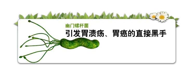 95后女孩子幽门螺杆菌值超标10倍,与饮食有关系?